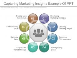 Capturing Marketing Insights Example Of Ppt