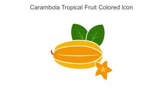 Carambola Tropical Fruit Colored Icon In Powerpoint Pptx Png And Editable Eps Format