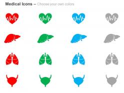Cardiogram liver lungs bladder ppt icons graphics