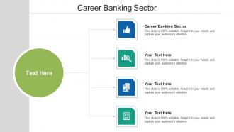 Career banking sector ppt powerpoint presentation layouts infographic template cpb