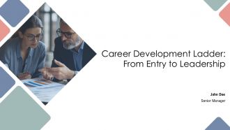 Career Development Ladder From Entry To Leadership PPT Structure AT