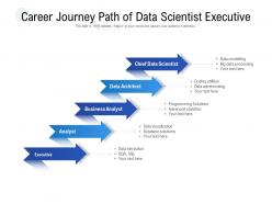 Career journey path of data scientist executive