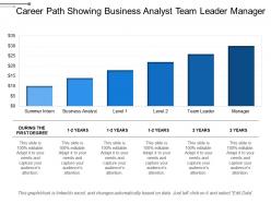 Career path showing business analyst team leader manager