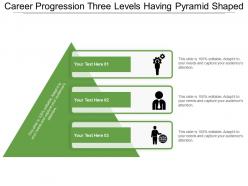 Career progression three levels having pyramid shaped