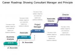 Career roadmap showing consultant manager and principle