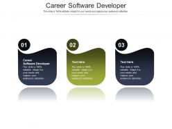 Career software developer ppt powerpoint presentation layouts topics cpb