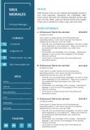Career statement sample cv template for it project manager