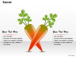 Carrot powerpoint template powerpoint template slide