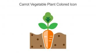 Carrot Vegetable Plant Colored Icon In Powerpoint Pptx Png And Editable Eps Format