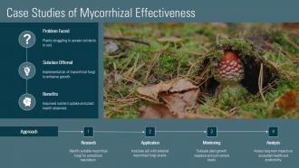 Case Studies Of Mycorrhizal Effectiveness PPT Graphics ACP Case Studies Of Mycorrhizal Effectiveness PPT Graphics ACP