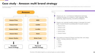 Case Study Amazon Multi Brand Extension Strategy To Diversify Business Revenue MKT SS V