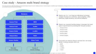 Case Study Amazon Multi Brand Market And Launch Strategy MKT SS V