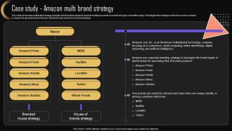 Case Study Amazon Multi Brand Strategy For Increasing Company Presence MKT SS V