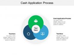 Cash application process ppt powerpoint presentation slides infographic template cpb