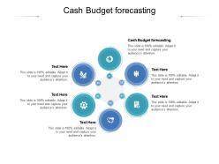 Cash budget forecasting ppt powerpoint presentation show portfolio cpb