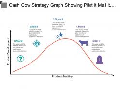 Cash cow strategy graph showing pilot it mail it scale milk it kill it