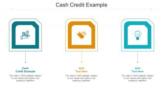 Cash Credit Example Ppt Powerpoint Presentation Pictures Background Cpb