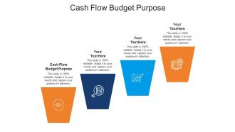 Cash flow budget purpose ppt powerpoint presentation summary show cpb