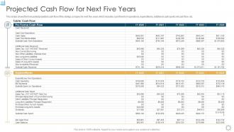 Cash flow for next five years strategic planning for startup