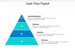 Cash flow payroll ppt powerpoint presentation styles shapes cpb