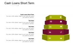 Cash loans short term ppt powerpoint presentation summary example cpb
