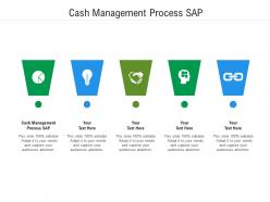 Cash management process sap ppt powerpoint presentation inspiration microsoft cpb