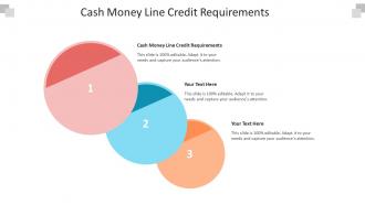 Cash money line credit requirements ppt powerpoint presentation shapes cpb