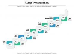 Cash preservation ppt powerpoint presentation styles visual aids cpb