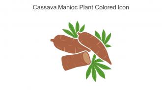 Cassava Manioc Plant Colored Icon In Powerpoint Pptx Png And Editable Eps Format