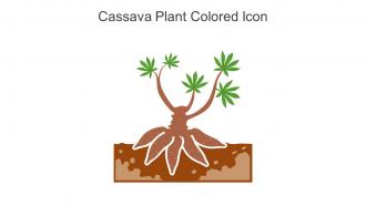 Cassava Plant Colored Icon In Powerpoint Pptx Png And Editable Eps Format