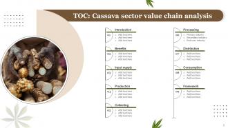 Cassava Sector Value Chain Analysis Powerpoint Ppt Template Bundles Designed Adaptable