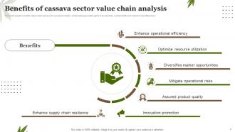 Cassava Sector Value Chain Analysis Powerpoint Ppt Template Bundles Colorful Adaptable