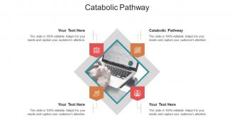 Catabolic pathway ppt powerpoint presentation inspiration slide cpb