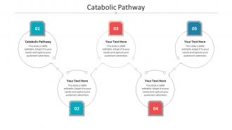 Catabolic pathway ppt powerpoint presentation topics cpb