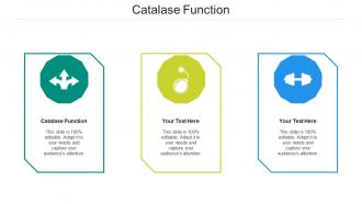 Catalase function ppt powerpoint presentation icon show cpb