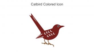 Catbird Colored Icon In Powerpoint Pptx Png And Editable Eps Format