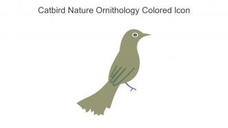 Catbird Nature Ornithology Colored Icon In Powerpoint Pptx Png And Editable Eps Format