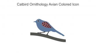 Catbird Ornithology Avian Colored Icon In Powerpoint Pptx Png And Editable Eps Format