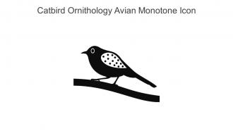 Catbird Ornithology Avian Monotone Icon In Powerpoint Pptx Png And Editable Eps Format