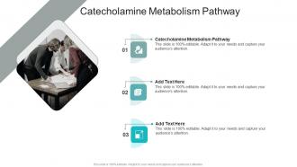 Catecholamine Metabolism Pathway In Powerpoint And Google Slides Cpb
