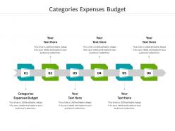 Categories expenses budget ppt powerpoint presentation file graphics cpb