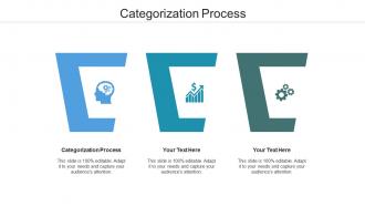 Categorization process ppt powerpoint presentation infographics icons cpb