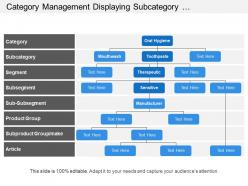 Category Management Displaying Subcategory Segment And Group