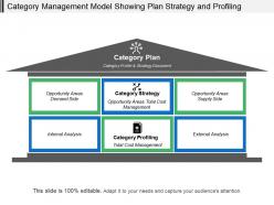 Category management model showing plan strategy and profiling