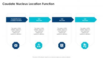 Caudate Nucleus Location Function In Powerpoint And Google Slides Cpb