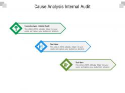Cause analysis internal audit ppt powerpoint presentation infographics format ideas cpb