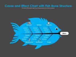 Cause and effect chart with fish bone structure