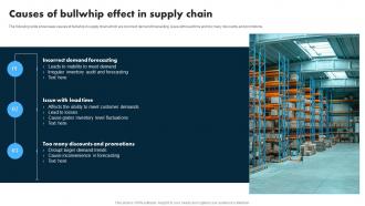 Causes Of Bullwhip Effect In Supply Chain