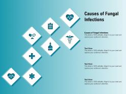 Causes of fungal infections ppt powerpoint presentation infographics deck