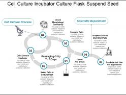 Cell culture incubator culture flask suspend seed